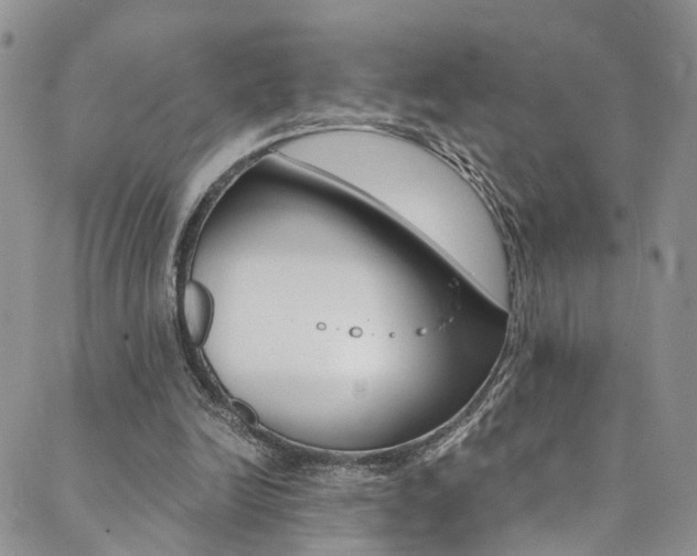 X0000089710246200706210923