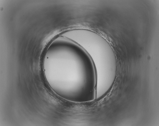 X0000089710248200706210923