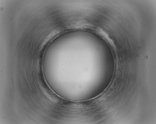 X0000089710250200706210923