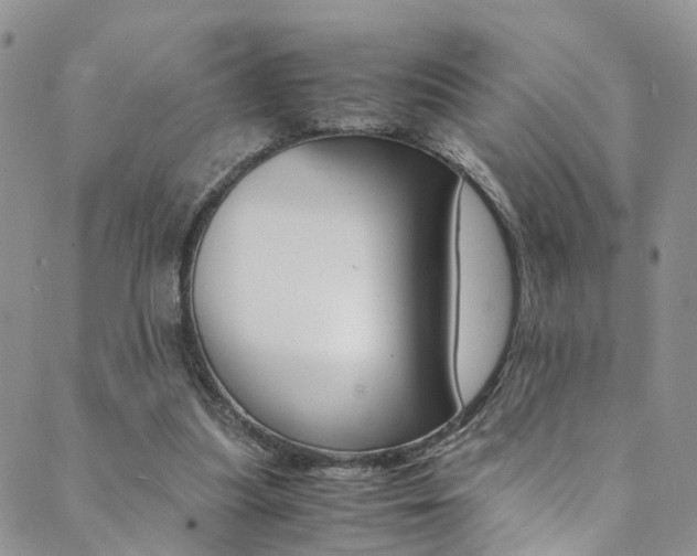 X0000089710251200706210923