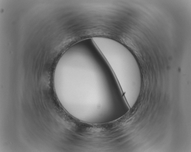 X0000089710255200706210923