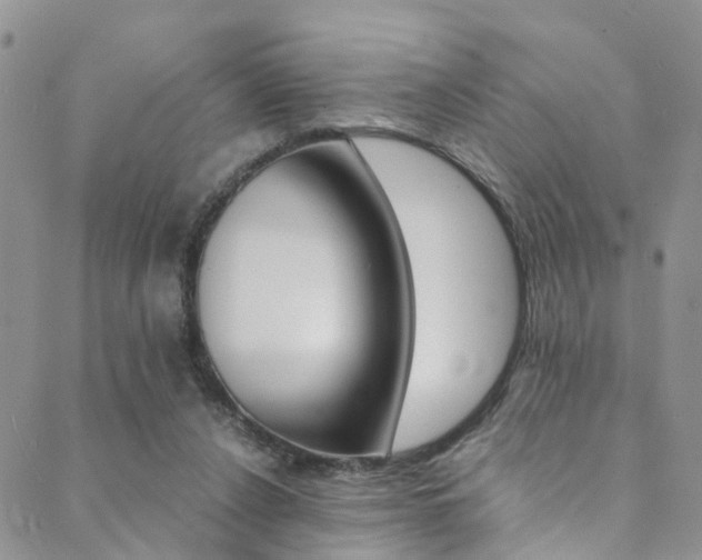 X0000089710256200706210923