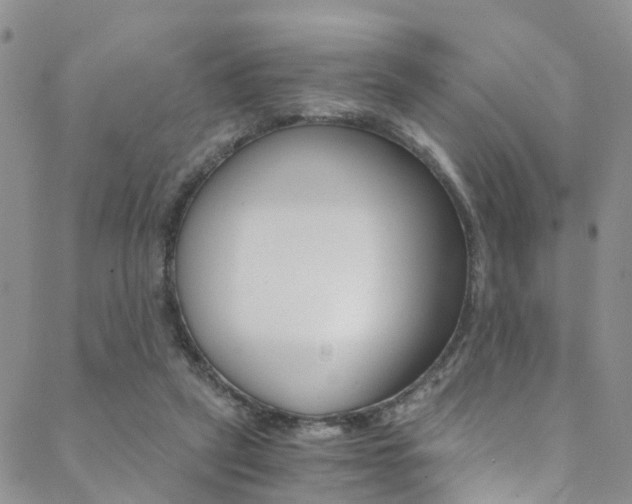 X0000089710257200706210923