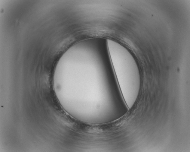 X0000089710258200706210923