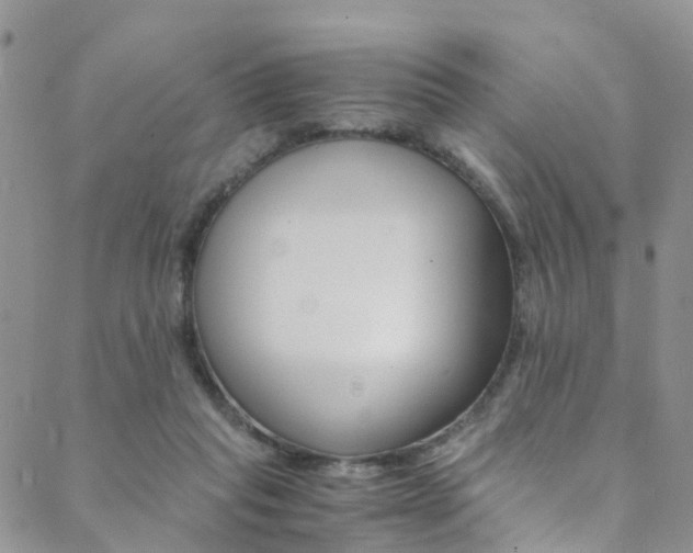 X0000089710261200706210923