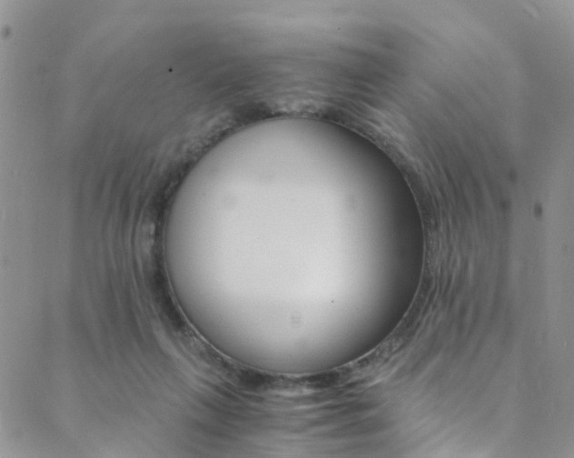 X0000089710263200706210923