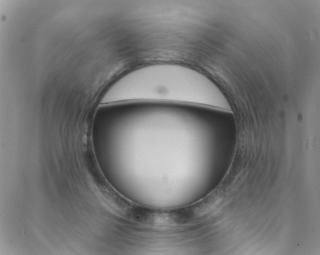 X0000089710264200706210923