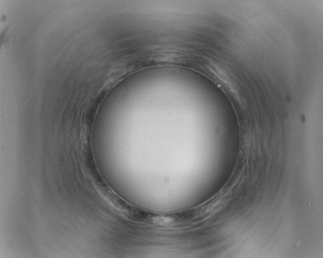 X0000089710265200706210923