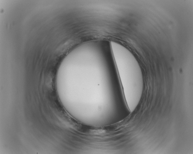 X0000089710266200706210923