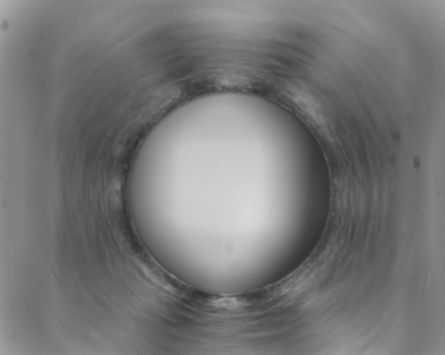 X0000089710269200706210923