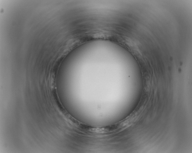 X0000089710273200706210923