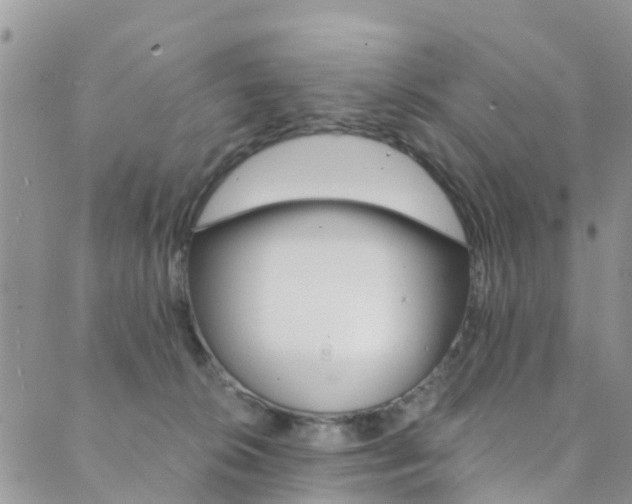 X0000089710276200706210923