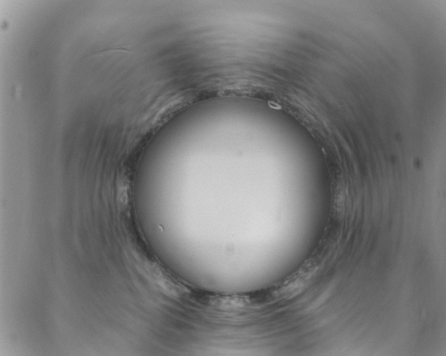 X0000089710282200706210923