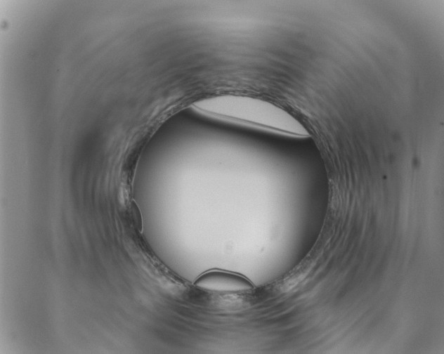 X0000089710287200706210924