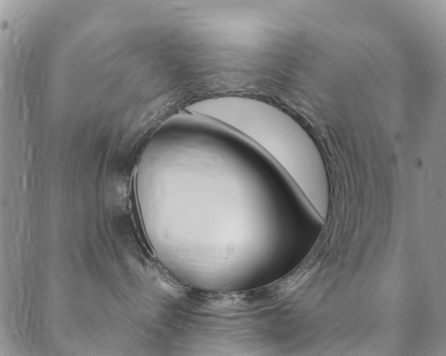 X0000089710288200706210924