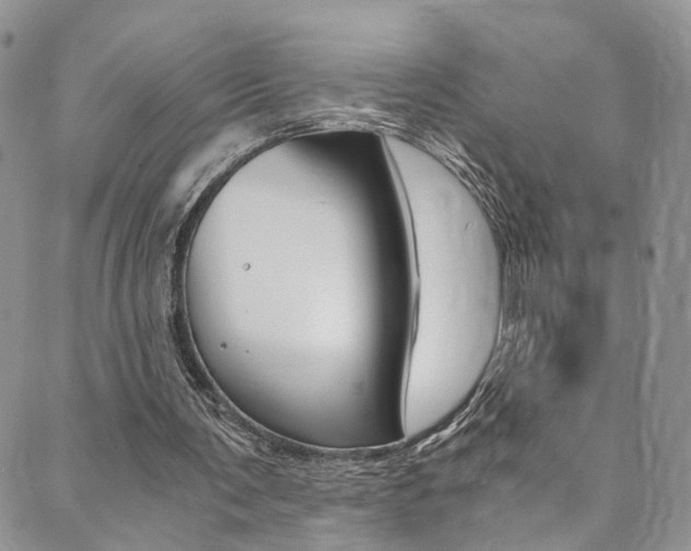 X0000089710291200706210923