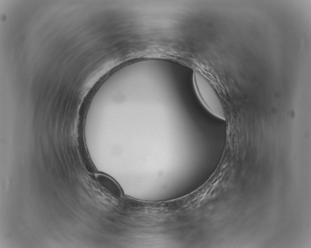 X0000089710292200706210923