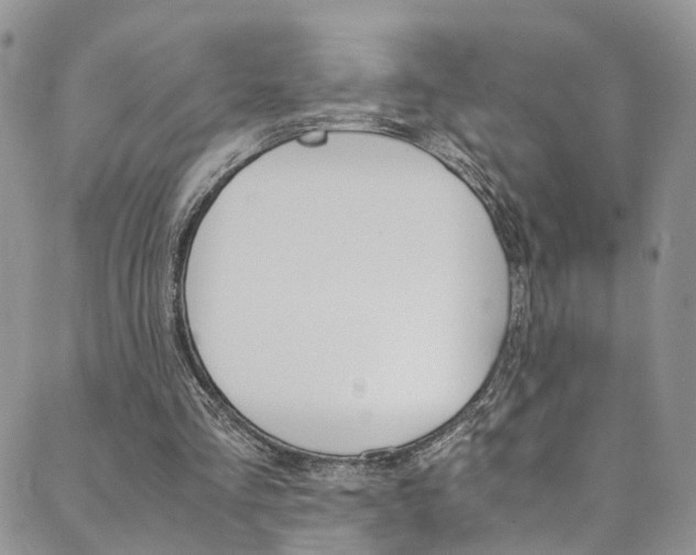 X0000089710293200706210923