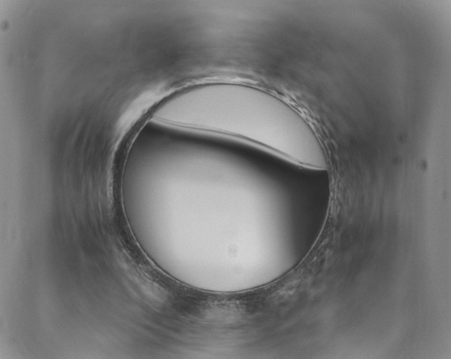 X0000089710296200706210923