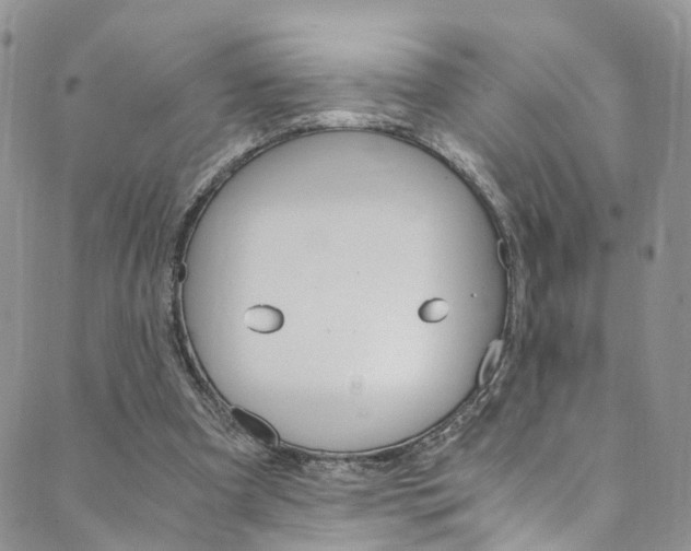 X0000089710297200706210923