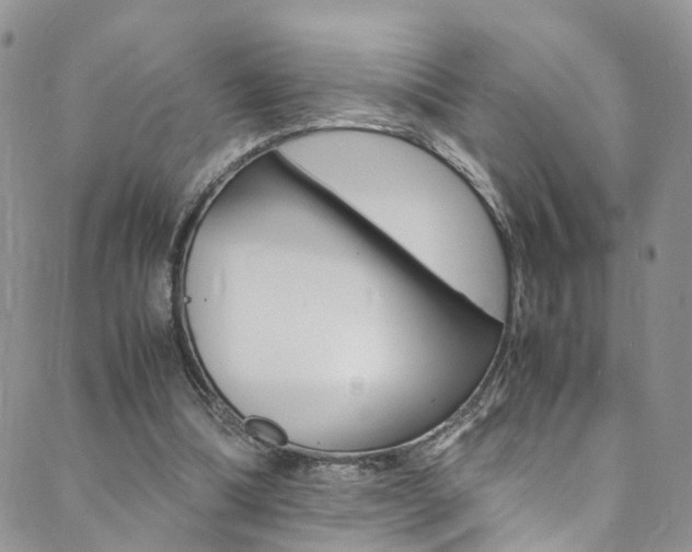 X0000089710298200706210923