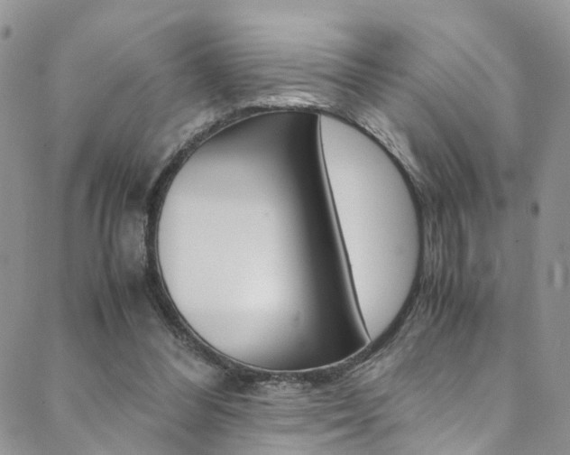 X0000089710300200706210923