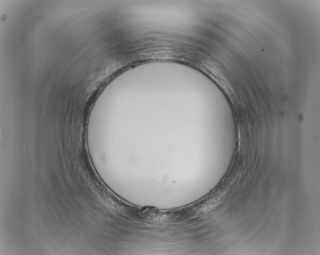 X0000089710301200706210923