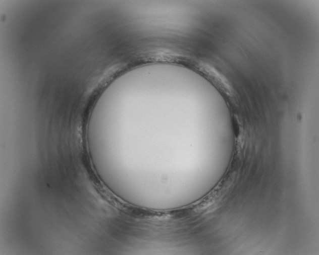 X0000089710306200706210922