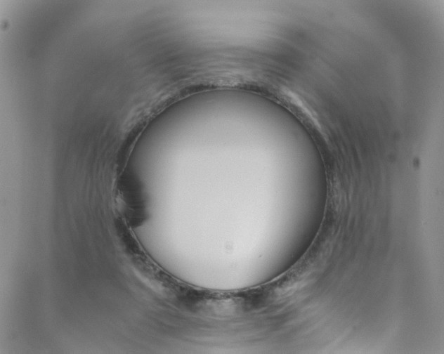 X0000089710307200706210922