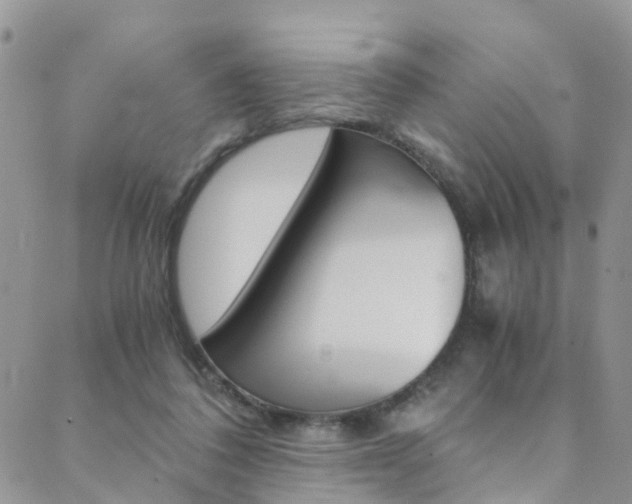 X0000089710308200706210922