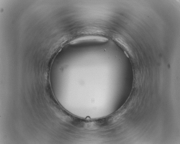 X0000089710309200706210922