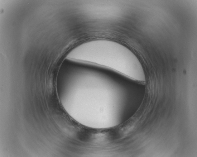 X0000089710312200706210922