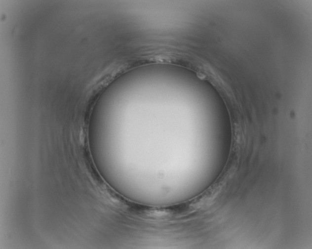 X0000089710313200706210922