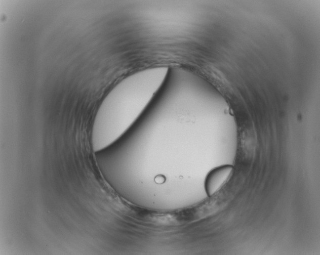 X0000089710322200706210922