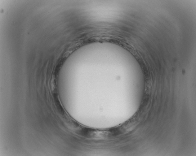 X0000089710323200706210922