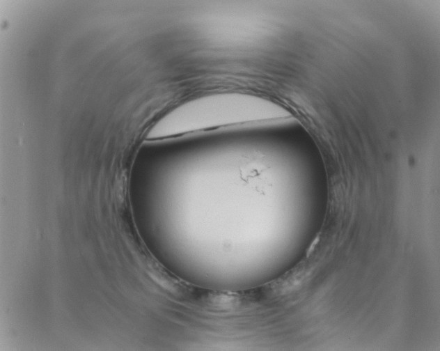 X0000089710325200706210922