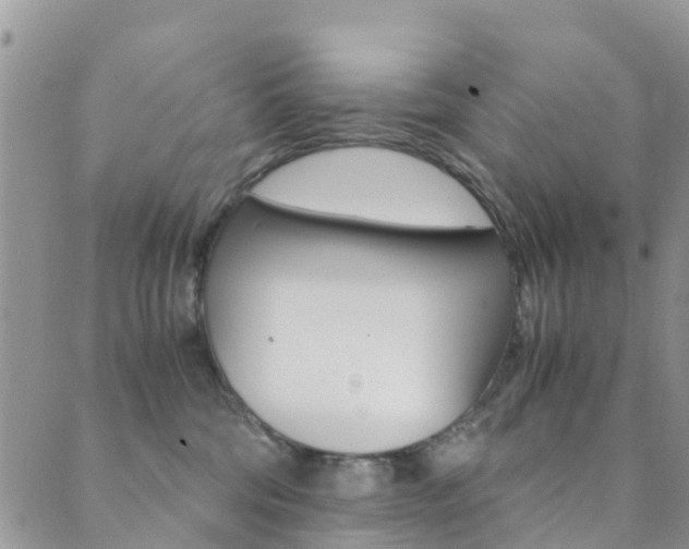 X0000089710330200706210922