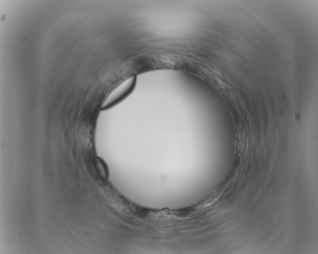 X0000089710331200706210922