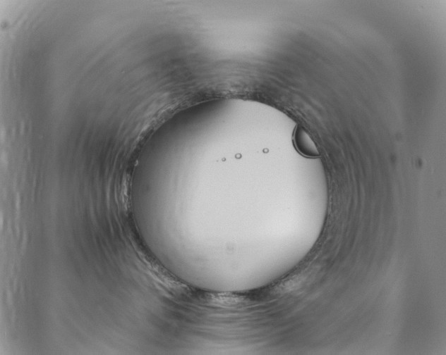 X0000089710336200706210922