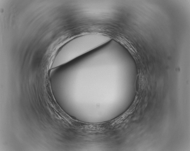 X0000089710338200706210921