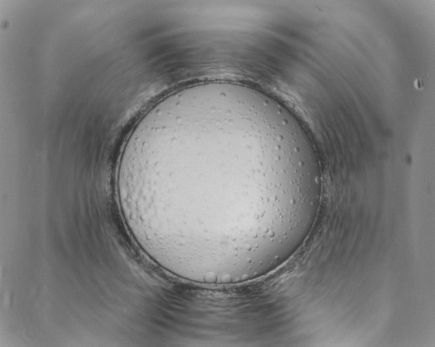 X0000089710347200706210921