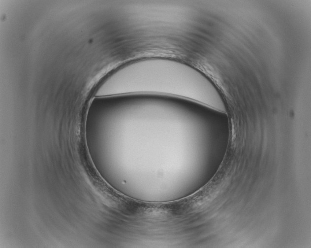 X0000089710348200706210921