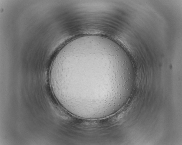 X0000089710351200706210921