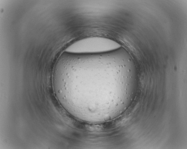 X0000089710359200706210922