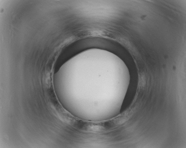 X0000089710360200706210922