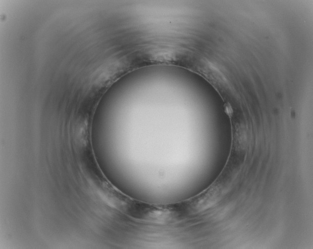 X0000089710364200706210922