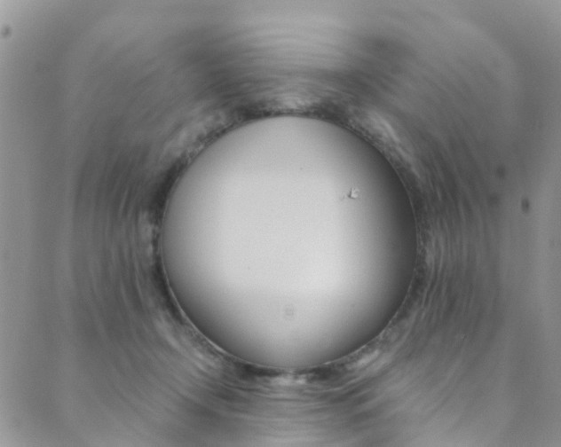 X0000089710366200706210922