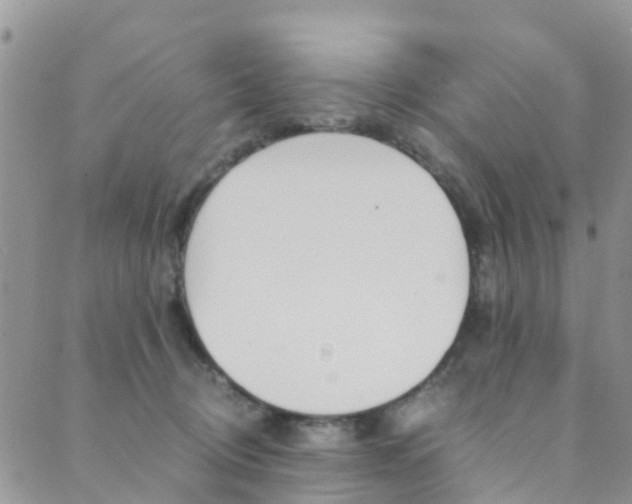 X0000089710370200706210922