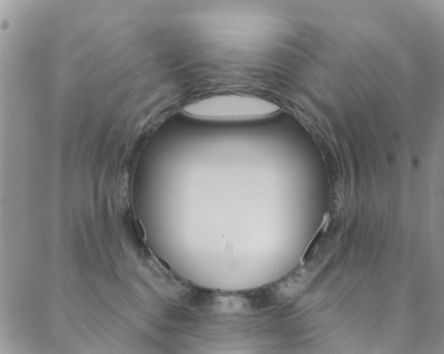 X0000089710376200706210922