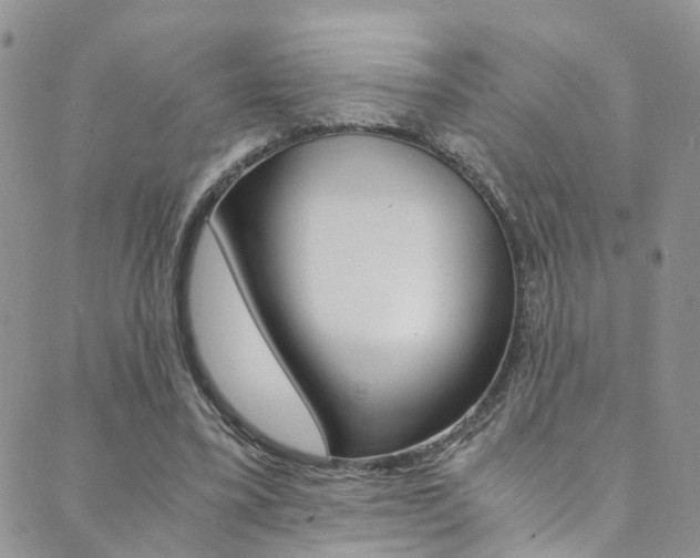 X0000089710395200706210921